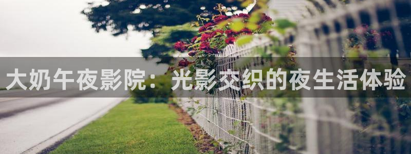 星空影视怎么下载