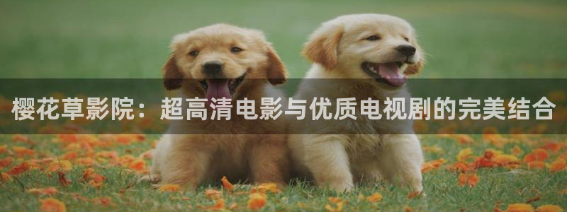 你好星期六麻豆电影