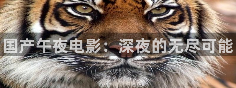 星空传媒高清在线观看
