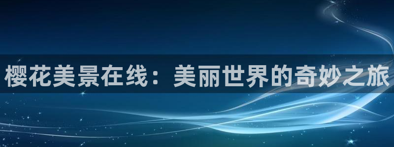 星空mv高清在线播放