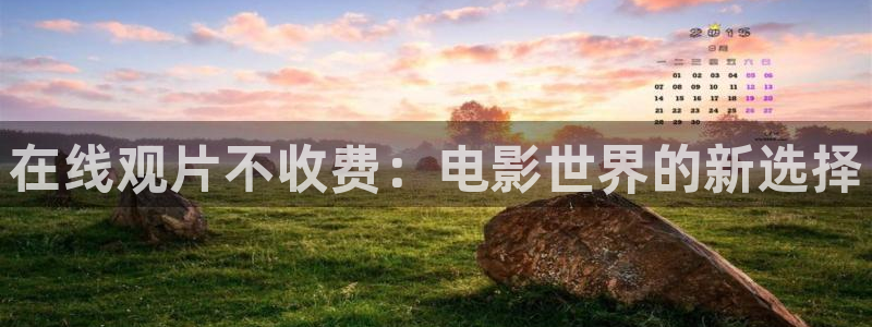 星空传媒在线观看