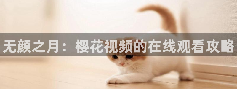 星空影视app官方下载