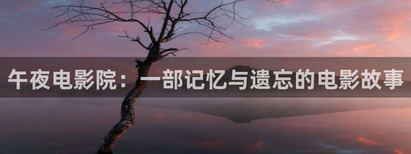 星空传媒高清在线观看