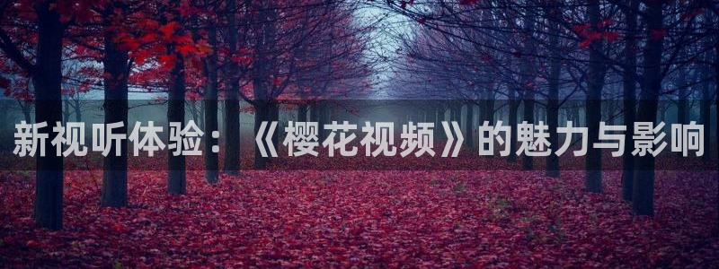 星空传媒精东影业