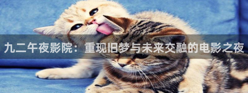 麻豆电影星辰影院