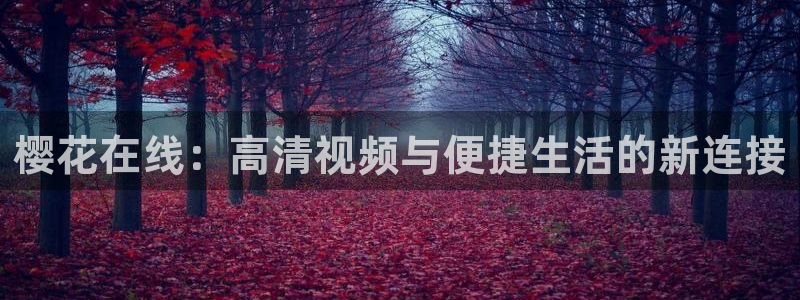 麻豆电影影视大全免费追剧