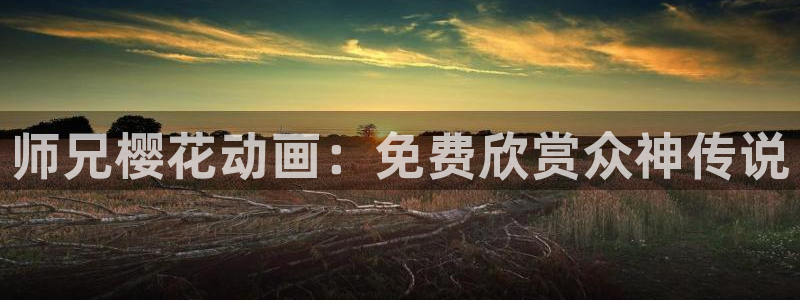 麻豆电影在线观看全集免费