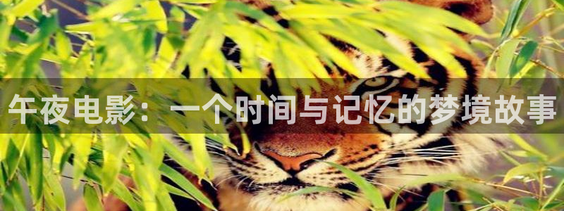 星空影视下载最新版