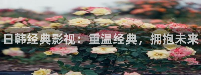 xk8073星空无限,麻豆电影电视剧免费播