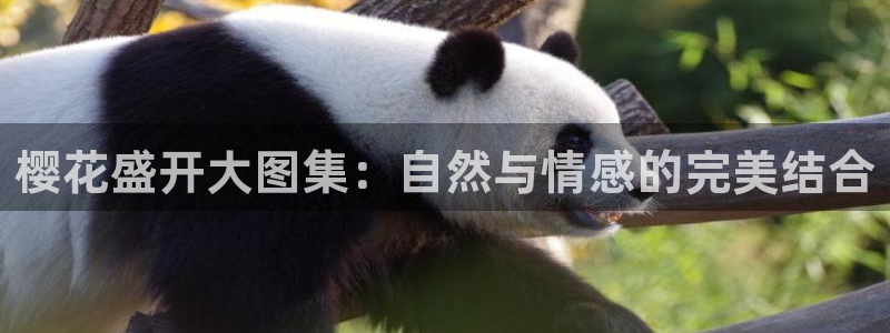 麻豆电影mv国产剧哪里能看啊