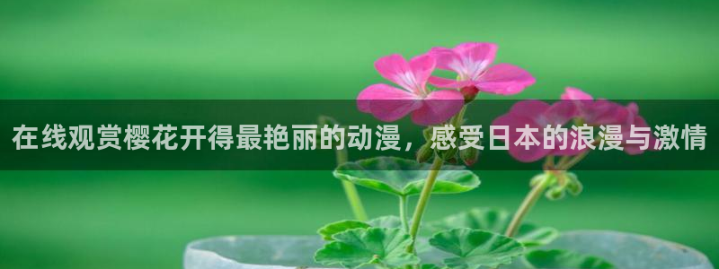 星空影视电影