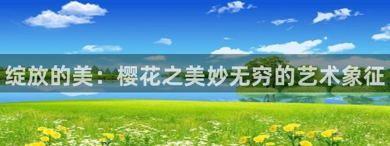 星空传媒精东影业