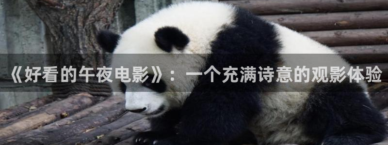 星空传媒精东影业