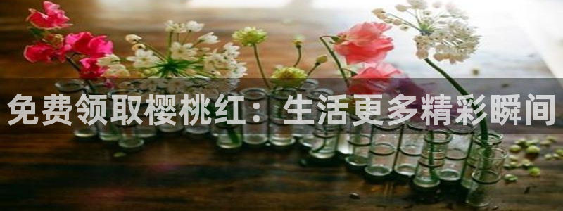 点燃我温暖你电视剧免费观看麻豆电影