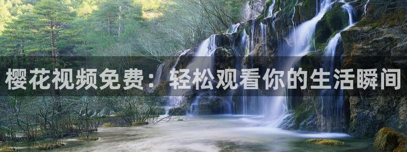 麻豆电影动漫免费观看完整版高清