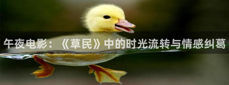 星空在线观看免费播放电影