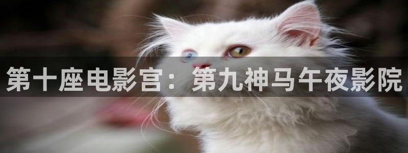 鸣龙少年麻豆电影
