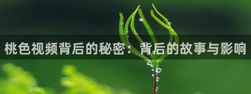 星空国际影城